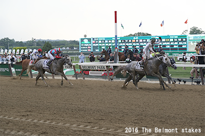 2016 The Belmont stakes