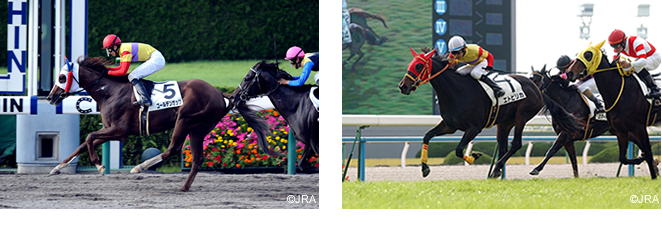 winnews画像